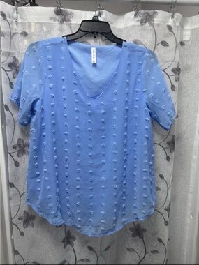 Zenana Light Blue Textured V-Neck Blouse